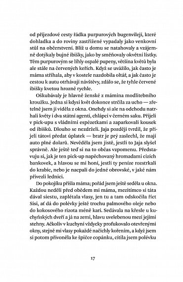 Náhled Purpurový ibišek