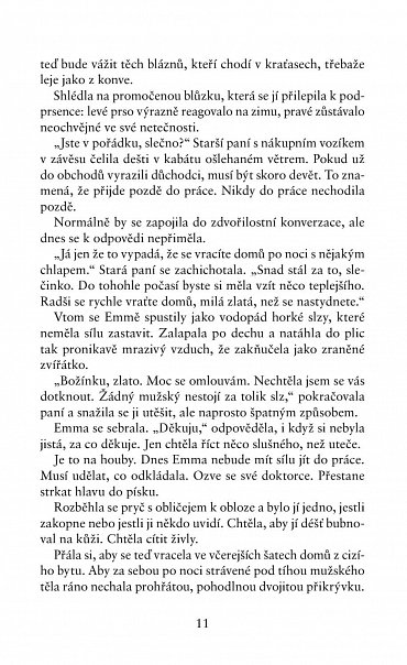 Náhled 99 dní s Tebou