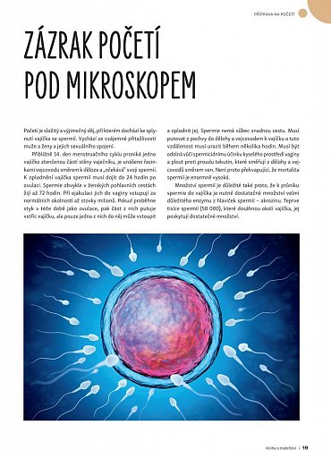 Náhled Kniha o mateřství