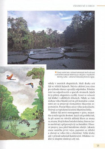 Náhled Arové - Chov, výživa a krmení, voliéry, život ve volnosti