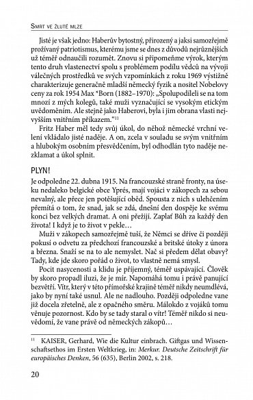 Náhled Smrt ve žluté mlze