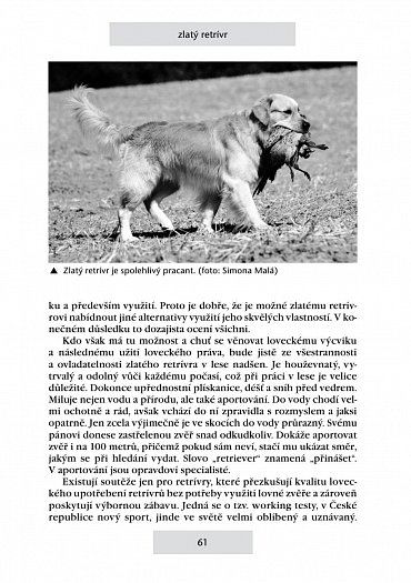 Náhled Retrívři a vodní psi