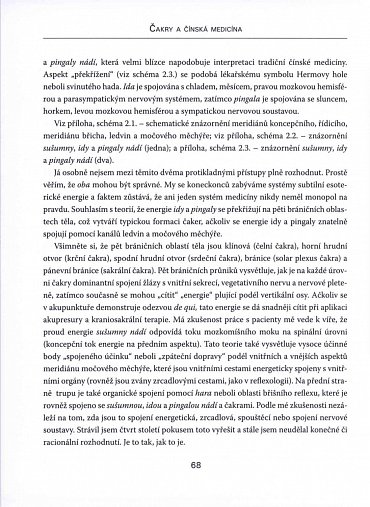 Náhled Čakry a čínská medicína - Léčba a příčiny nemocí