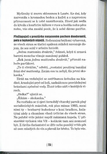 Náhled Hovězí kostky