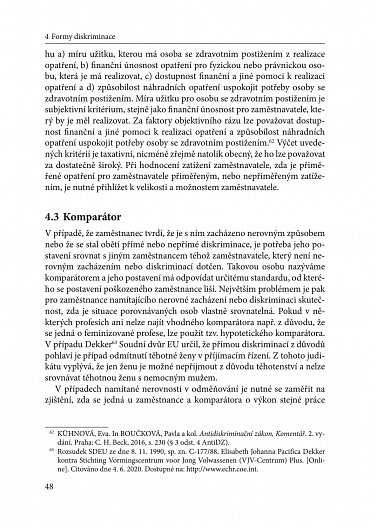 Náhled Zákaz diskriminace v pracovněprávních vztazích