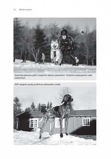 Náhled Běhej se psem - Kompletní průvodce světem společného běhání se psy