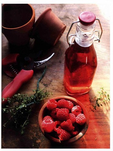 Náhled Děláme si sami pivo, víno, medovinu, cider, šumivé nápoje a další unikátní speciality