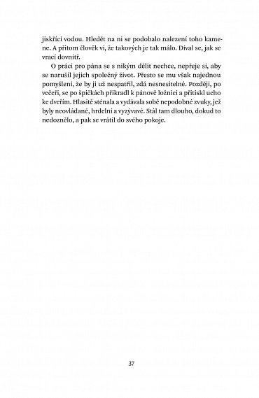 Náhled Půl žlutého slunce, 2.  vydání