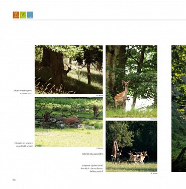 Náhled Lánská obora v proměnách času