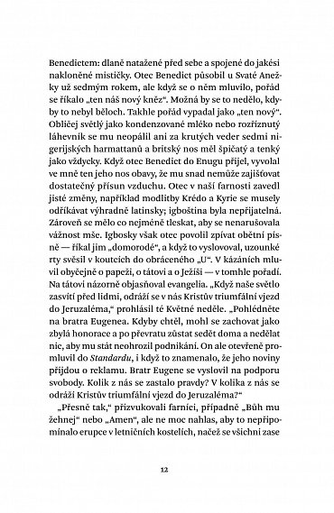 Náhled Purpurový ibišek