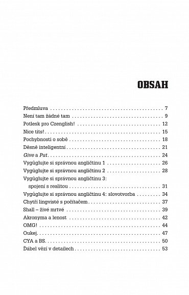 Náhled Angličtina na rovinu II