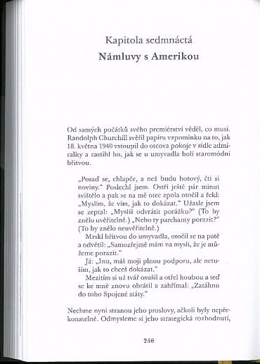 Náhled Faktor Churchill