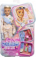 Barbie dream besties panenka - Ken