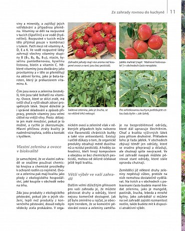 Náhled Užitková zahrada