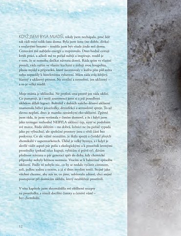 Náhled Umění přirozeného domova