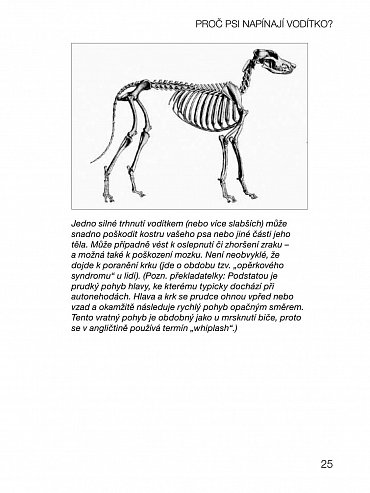 Náhled Tahání na vodítku