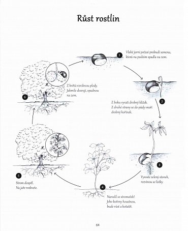 Náhled Montessori - aktivity pro děti