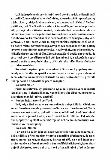 Náhled Přítoky románů