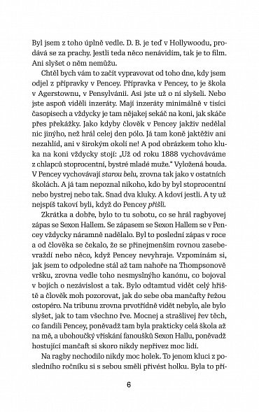 Náhled Kdo chytá v žitě