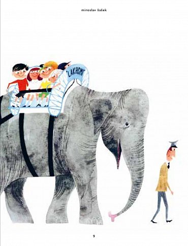 Náhled Miroslav Šašek