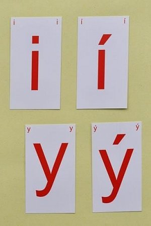 Kartičky s i/y, 1.  vydání