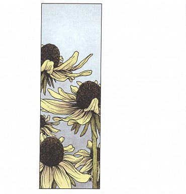 Náhled Myší hlídka 3 - Černá sekera