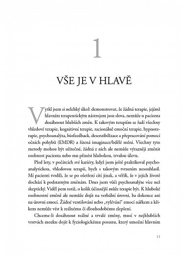 Náhled Primární terapie