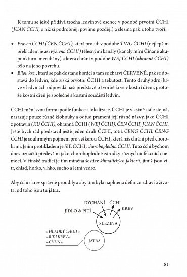 Náhled Tradiční čínská medicína pro pacienty i lékaře