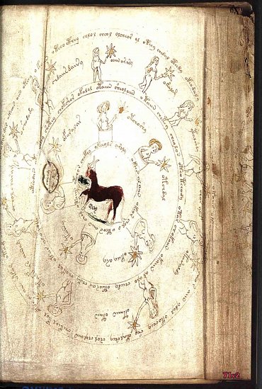 Náhled Voynichův rukopis - Nejzáhadnější kniha světa