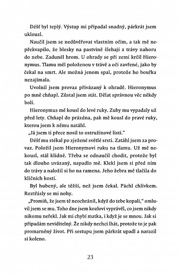 Náhled Stella, 1.  vydání