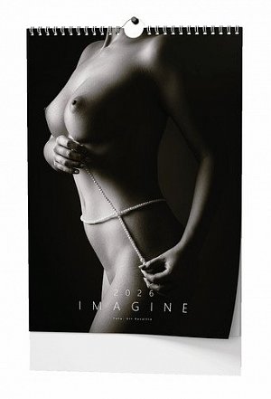 Imagine 2026 - nástěnný kalendář