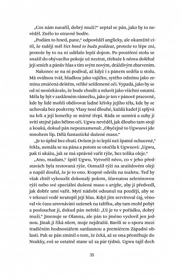 Náhled Půl žlutého slunce, 2.  vydání