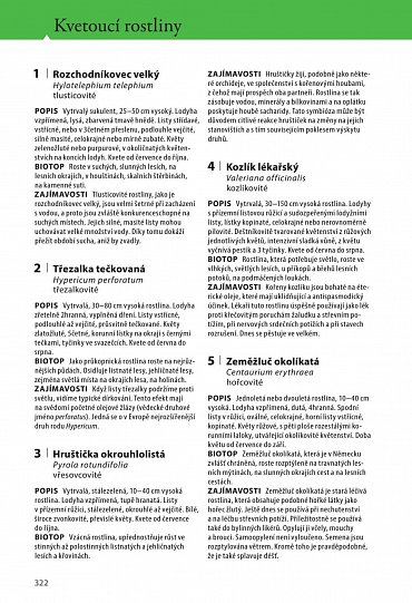 Náhled Velký průvodce lesem