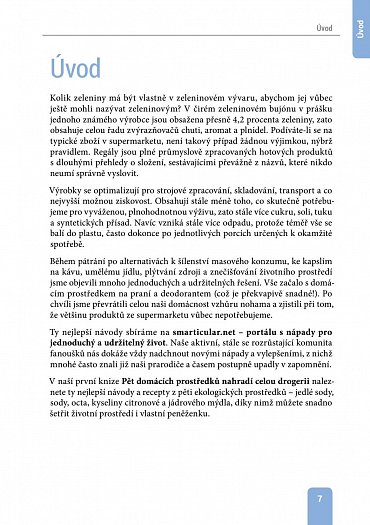 Náhled Zkuste to doma sami – kuchyně. 137 zdravějších alternativ ke kupovaným výrobkům, s nimiž ušetříte peníze i životní prostředí