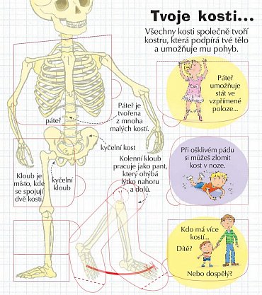 Náhled Podívej se do svého těla - více než 100 odklápěcích okének