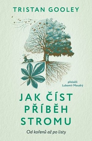 Jak číst příběh stromu - Od kořenů až po listy