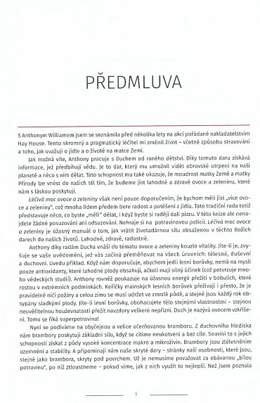 Náhled Mystický léčitel - Léčivá síla ovoce a zeleniny