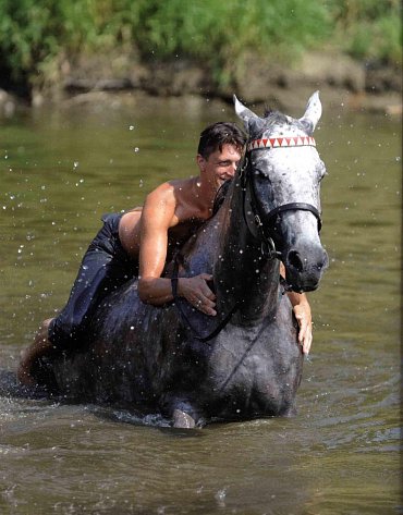 Náhled Koně pro krále