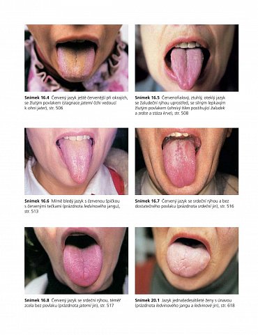 Náhled Praxe čínské medicíny - Léčba onemocnění pomocí akupunktury a čínských léčivých směsí