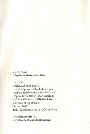 Náhled Labyrint u Mrtvého ženicha