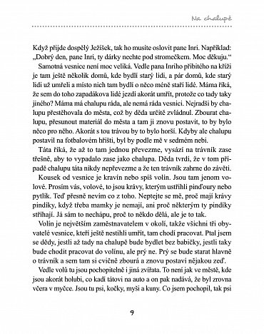 Náhled Na chalupě s moderním fotrem