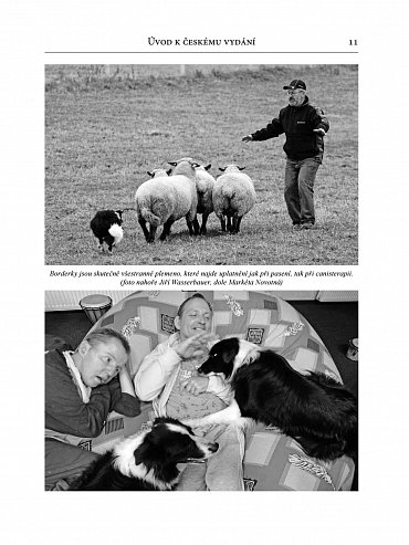 Náhled Border kolie od A do Z