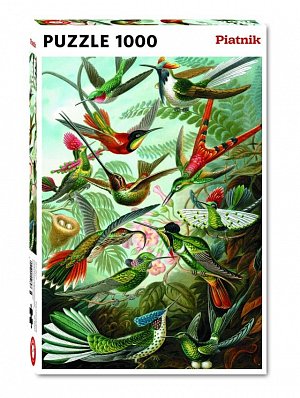 Puzzle Haeckel: Kolibris 1000 dílků
