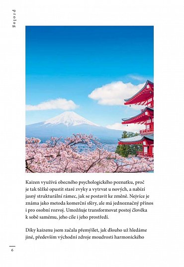 Náhled Kaizen - Japonská metoda postupné změny návyků