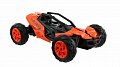 1:14 2.4GHZ Vysokorychlostní bugina, 2assort