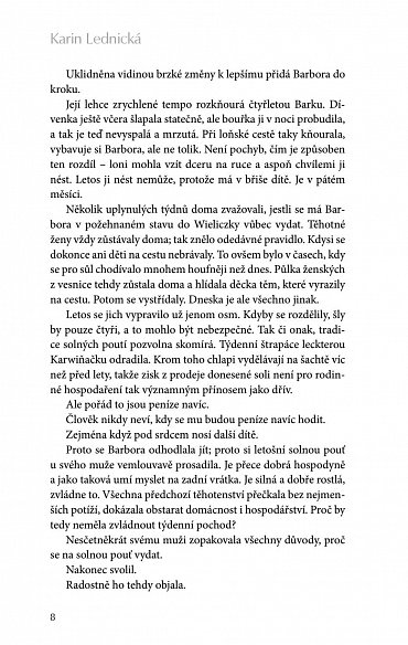 Náhled Šikmý kostel - Románová kronika ztraceného města, léta 1894-1921