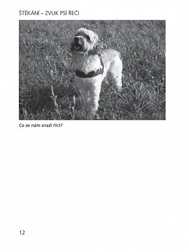 Náhled Štěkání - Zvuk psí řeči