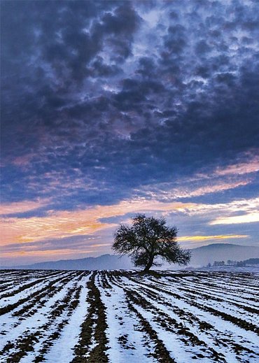 Náhled Prchavé okamžiky přírody - Fotoaparátem od jara do zimy