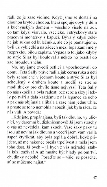 Náhled Tom Sawyer detektivem