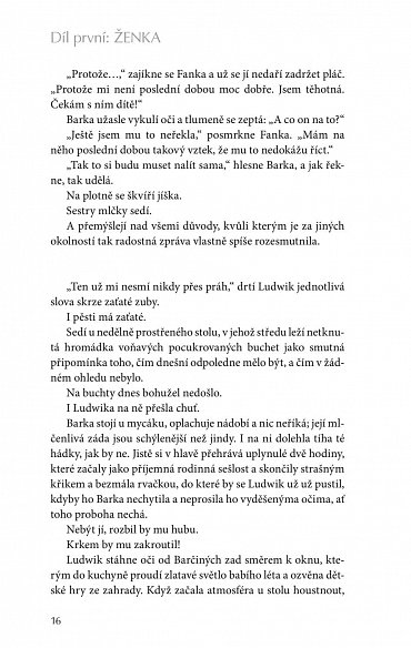 Náhled Šikmý kostel 2 - Románová kronika ztraceného města, léta 1921-1945